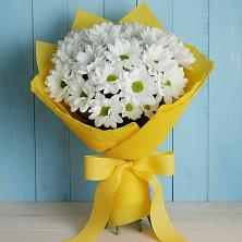 Букет цветов из:  Хризантемы в Новомихайловском