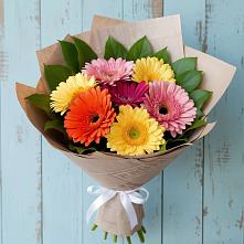 Букет цветов из:  Герберы в Новомихайловском