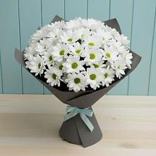 Букет цветов из:  Хризантемы #REPLACE_PRED# Новомихайловском